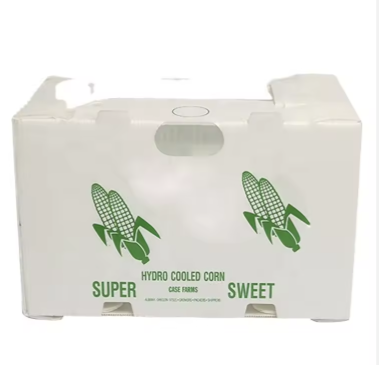 Reusable PP Hollow Packaging Box – Corrugated Plastic Crate for Fruit and Vegetable Transport