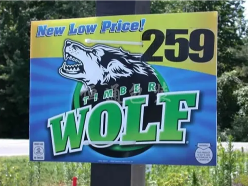  Double-Sided Corrugated Plastic Poster Display Boards