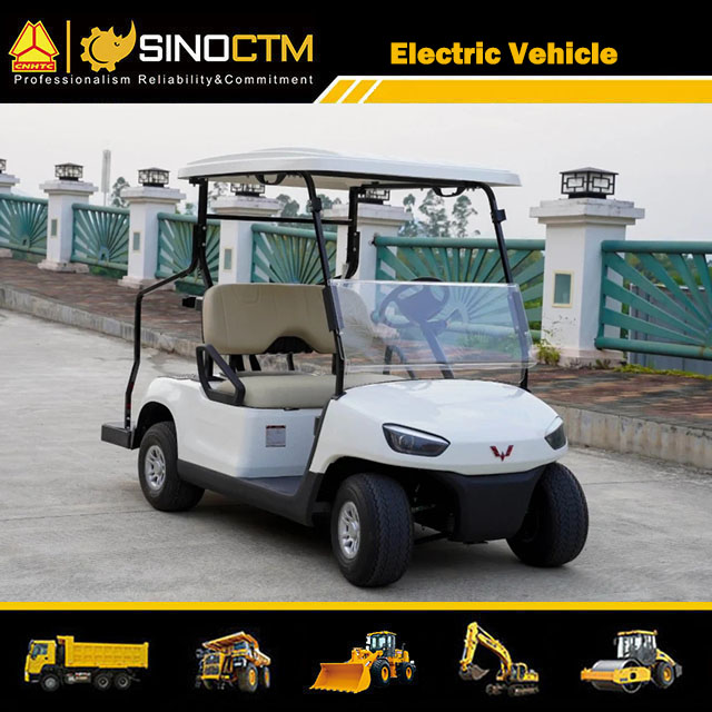 China Made Golf Club Car 2 Seaters Electric Golf Cart/Golf Car/Car