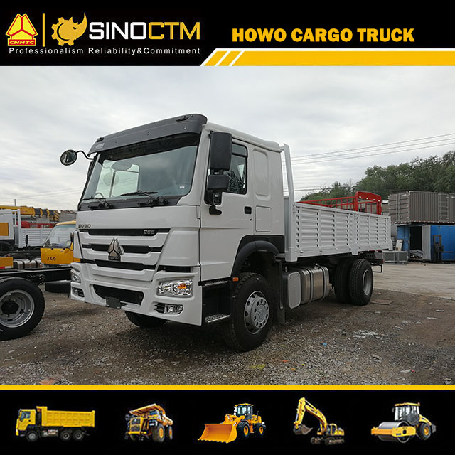 Sino truck HOWO Cargo Truck 4X2 Cargo Truck Rhd/LHD Hot Sale