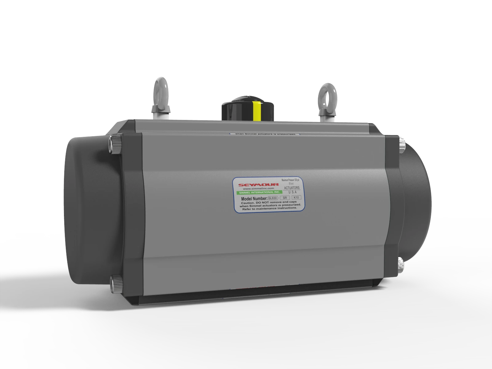 Pneumatic actuator
