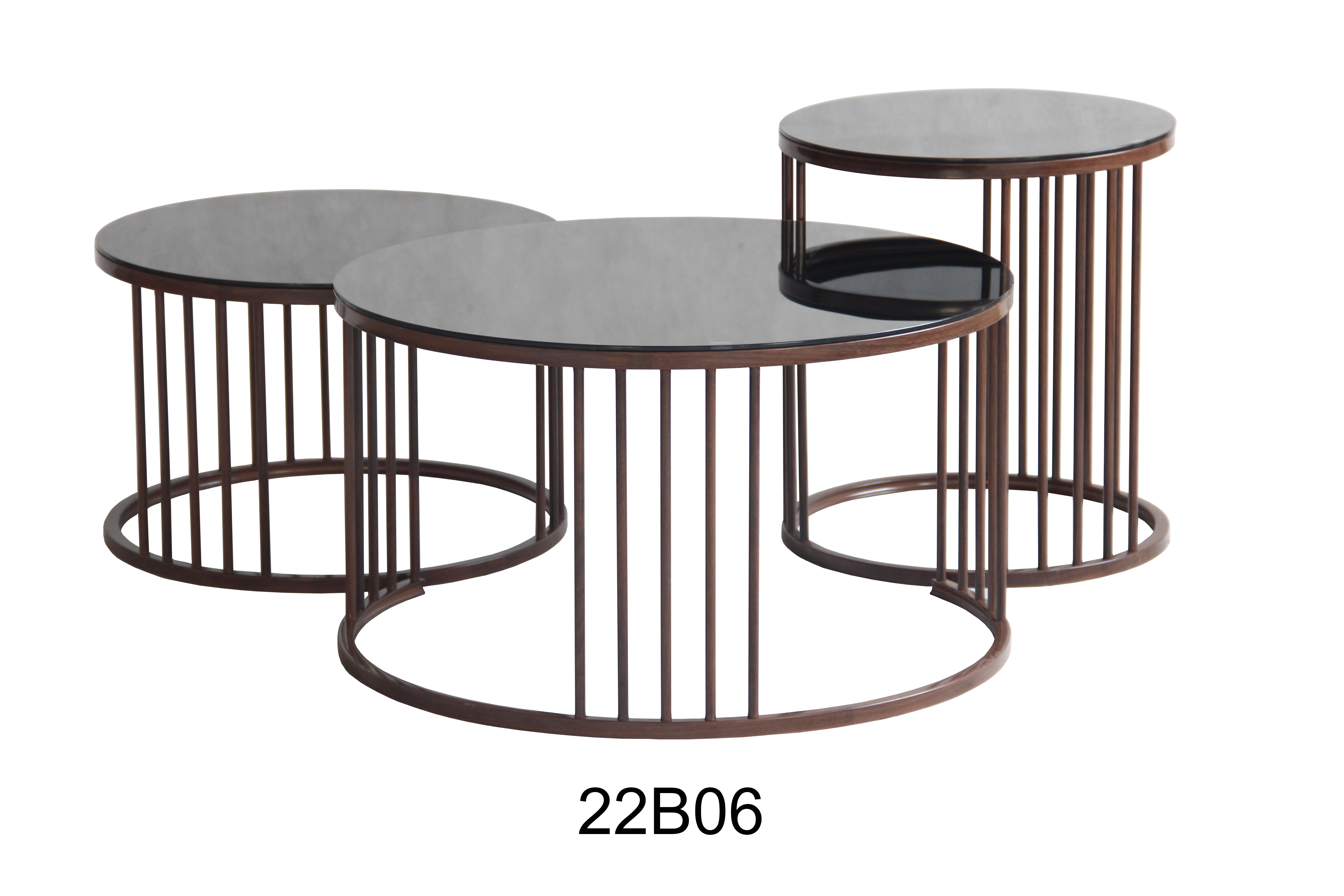 22B06 Tempered Glass With Wood Grain Legs Coffee Table