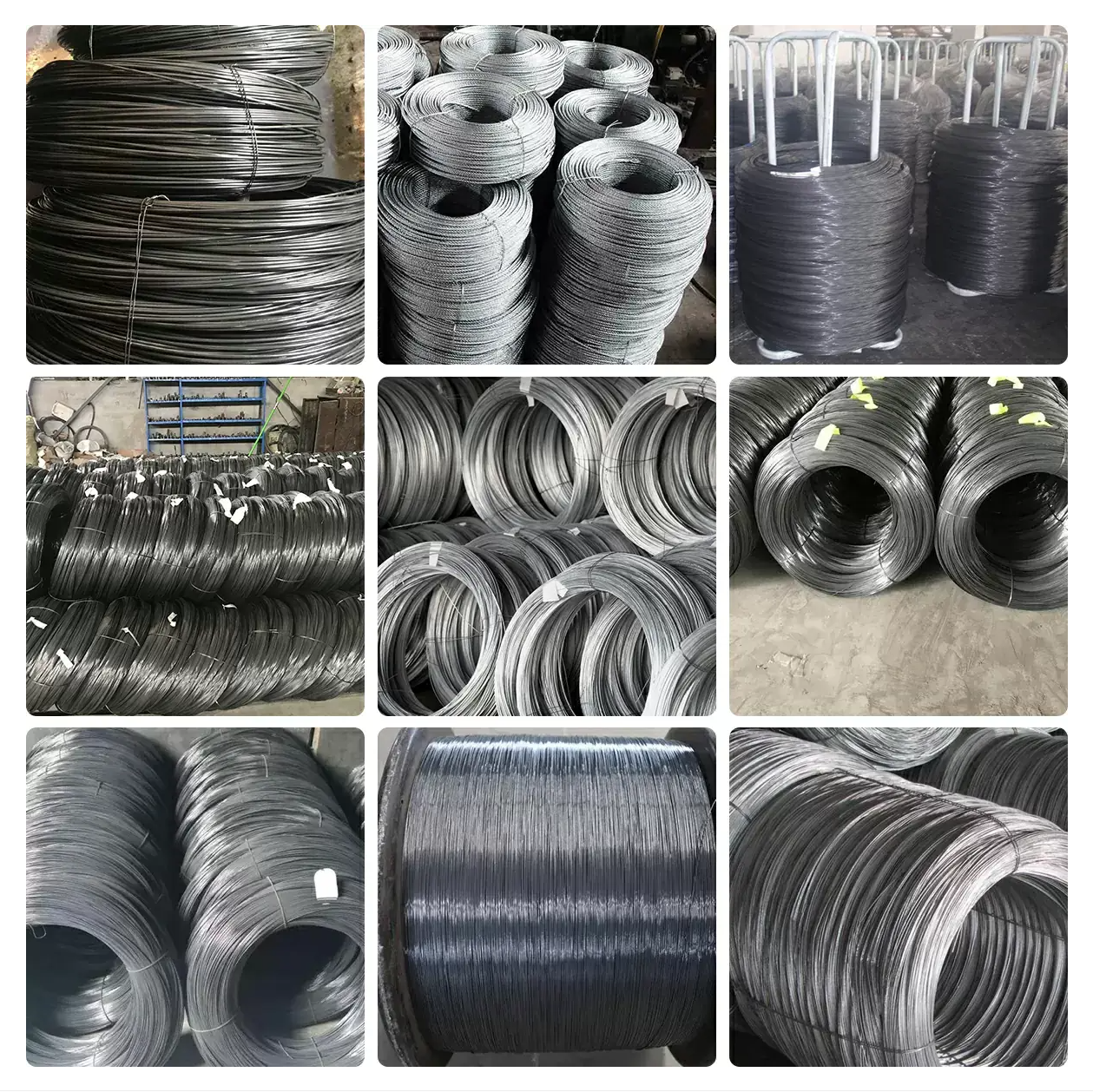 盘条.png wire rod