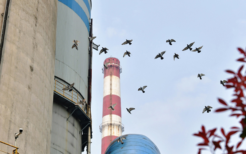 For the sake of the environment, 