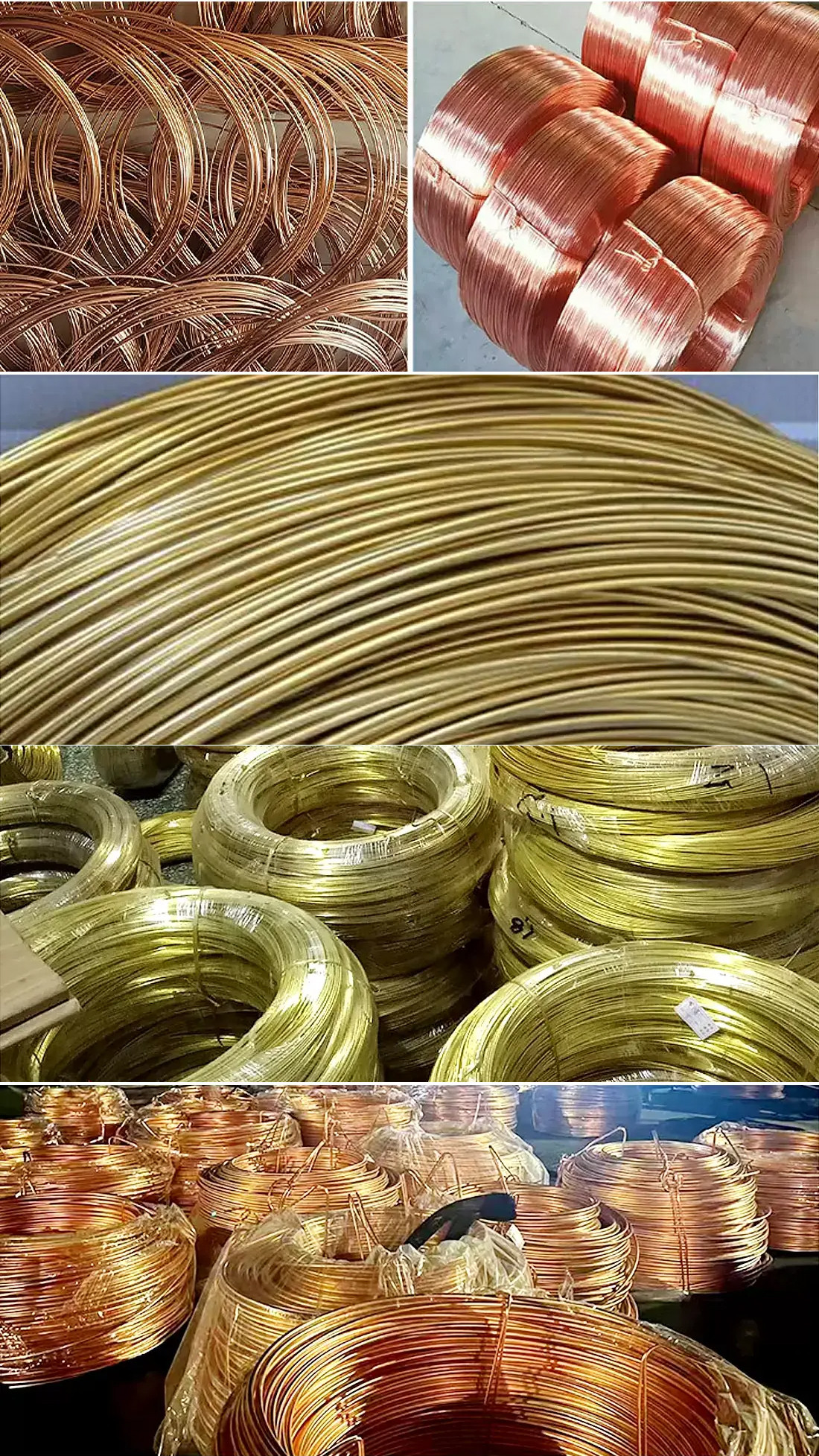 未标题-1.jpg 未标题-1.jpg