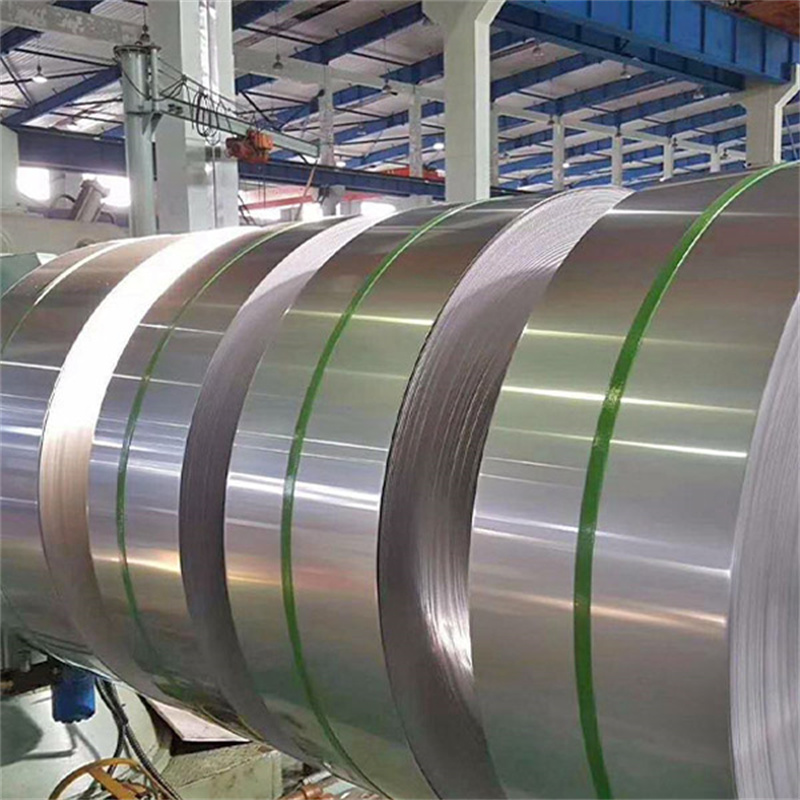 Stainless Steel Strip