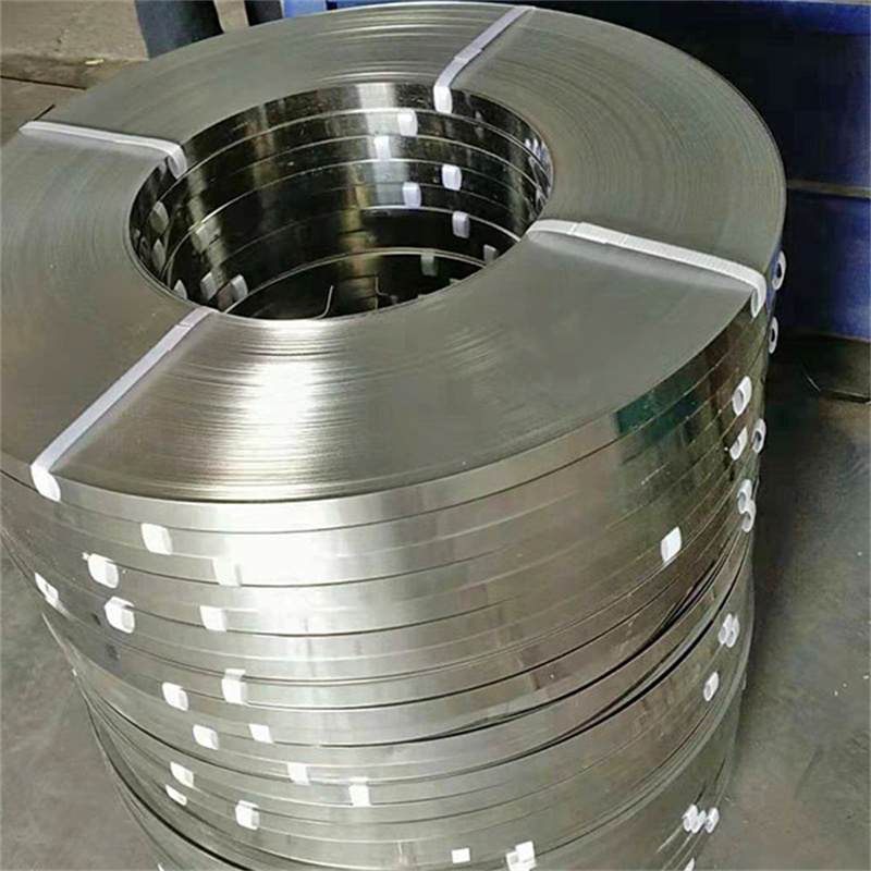 Stainless Steel Strip