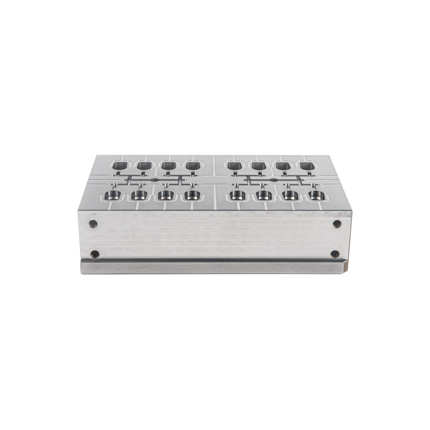 Precision Plastic Mold