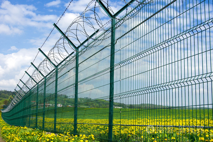 Coated and Galvanized Steel Wire Mesh