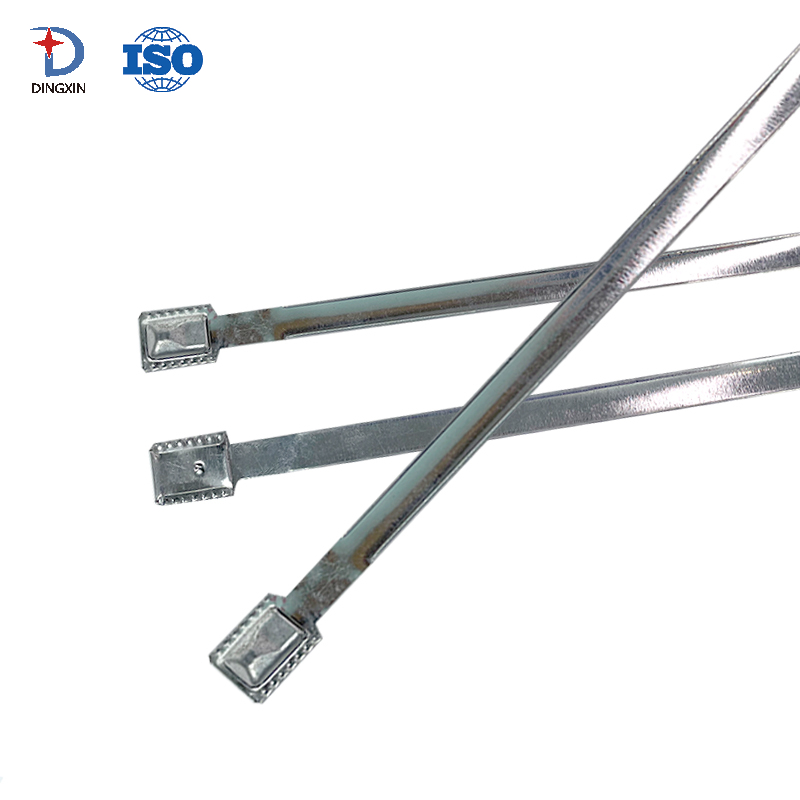 Flat Security Container Metal Strap Seal DX801MS