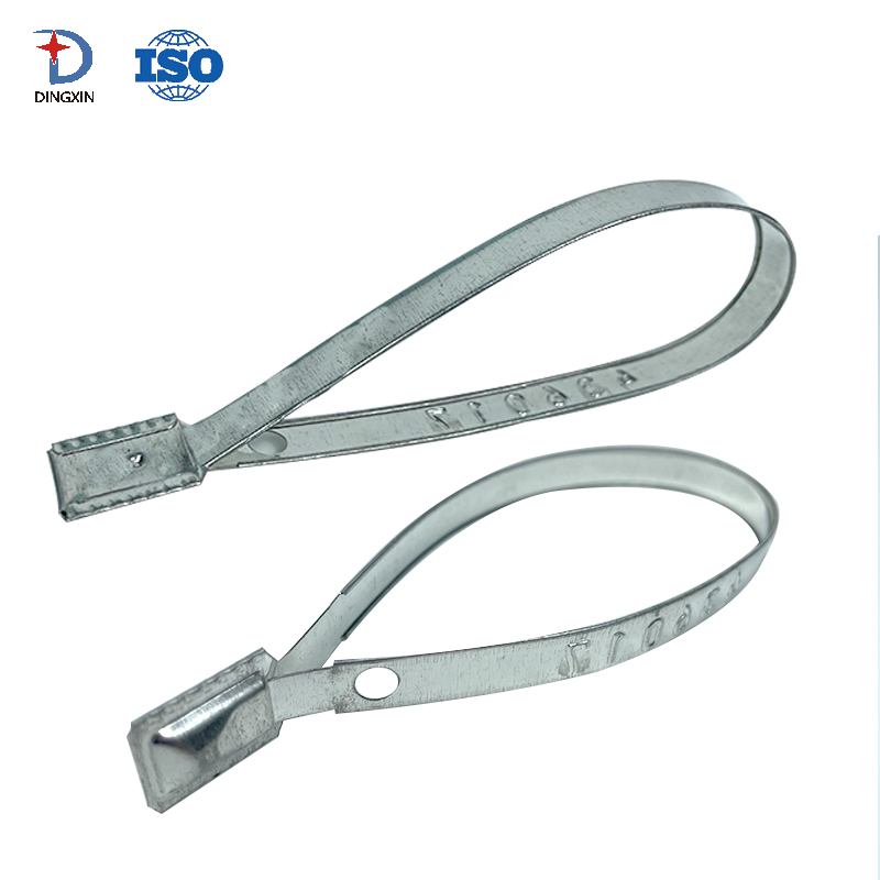 Flat Security Container Metal Strap Seal DX801MS
