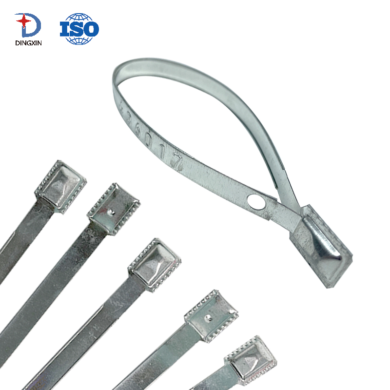 Flat Security Container Metal Strap Seal DX801MS