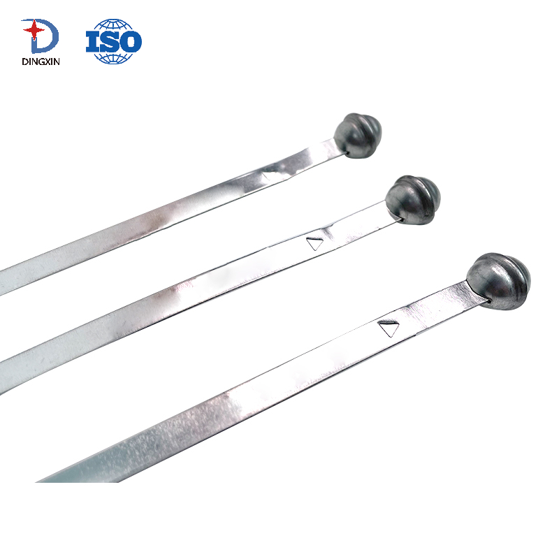 Ball Container Lock Truck Metal Strap Seal DX802MS
