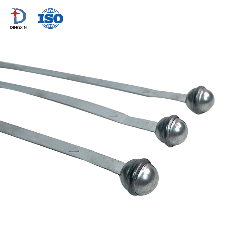 Ball Container Lock Truck Metal Strap Seal DX802MS