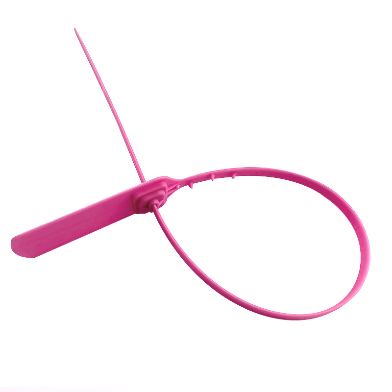 China Supplier Disposable Plastic Seal DX6-106P