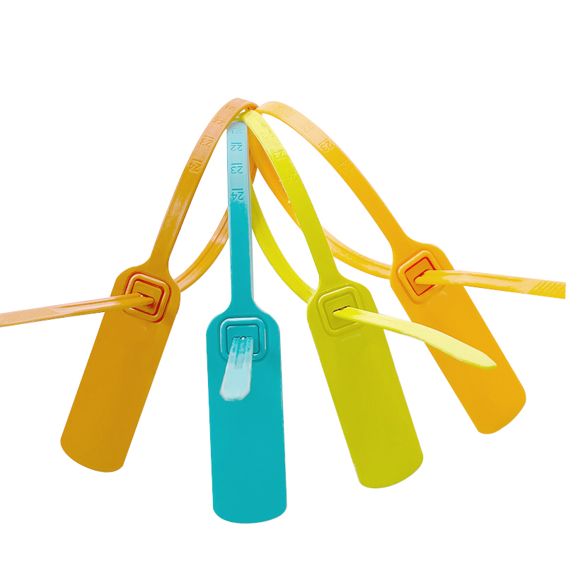 China Supplier Disposable Plastic Seal DX6-106P