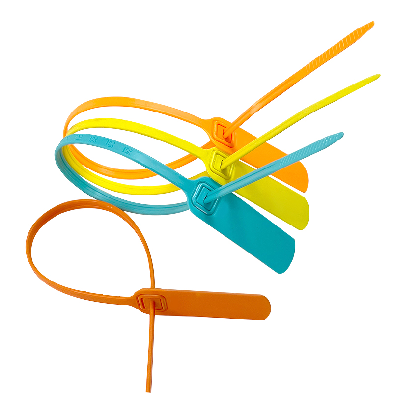 China Supplier Disposable Plastic Seal DX6-106P