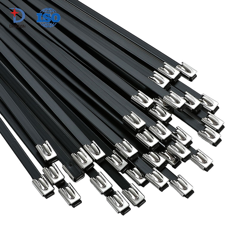 Stainless Steel Black Cable Tie DX401CT