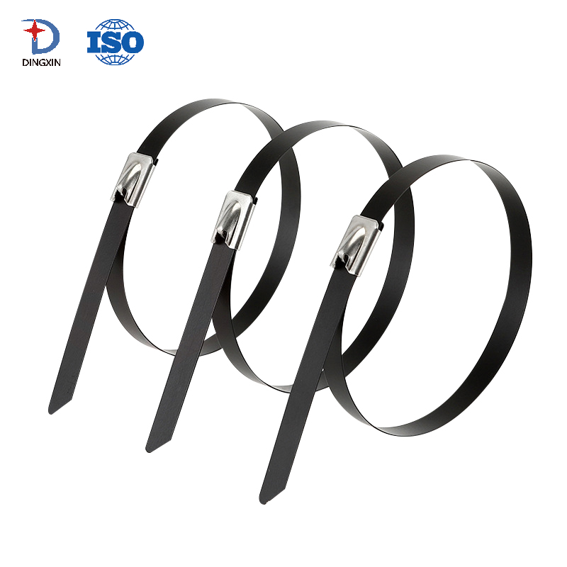 Stainless Steel Black Cable Tie DX401CT