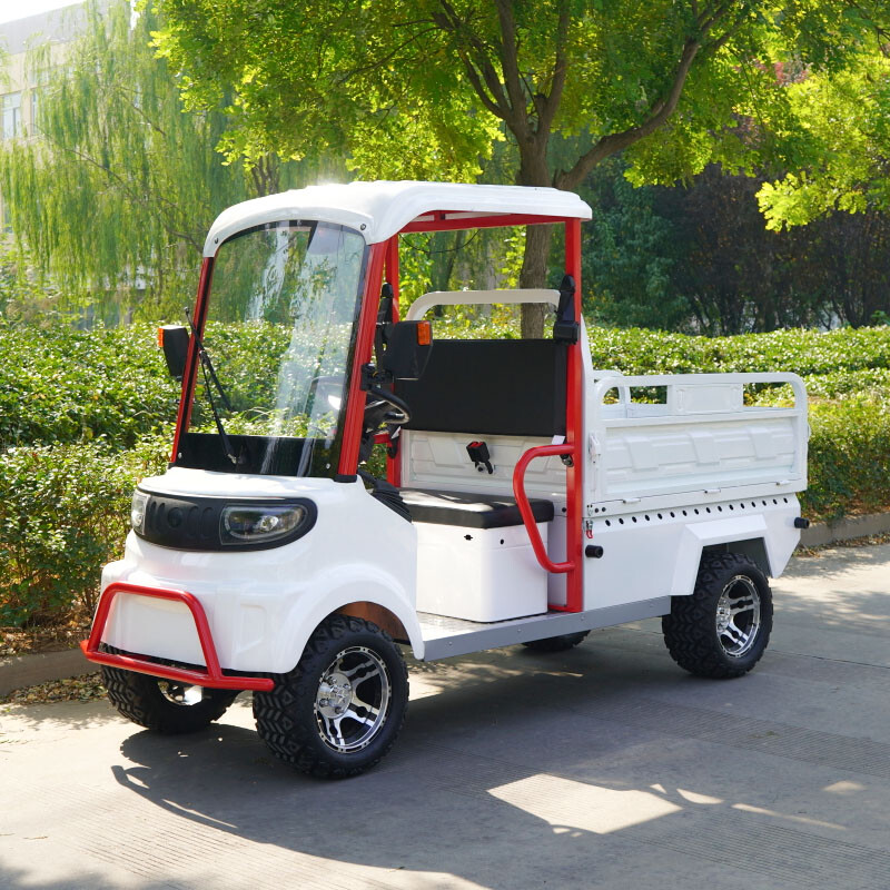 M10 utility vehicle off-road tires 3kw motor