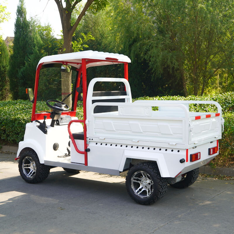 M10 utility vehicle off-road tires 3kw motor