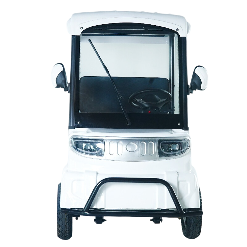 M9 golf cargo cart utility golf buggy cheapish 