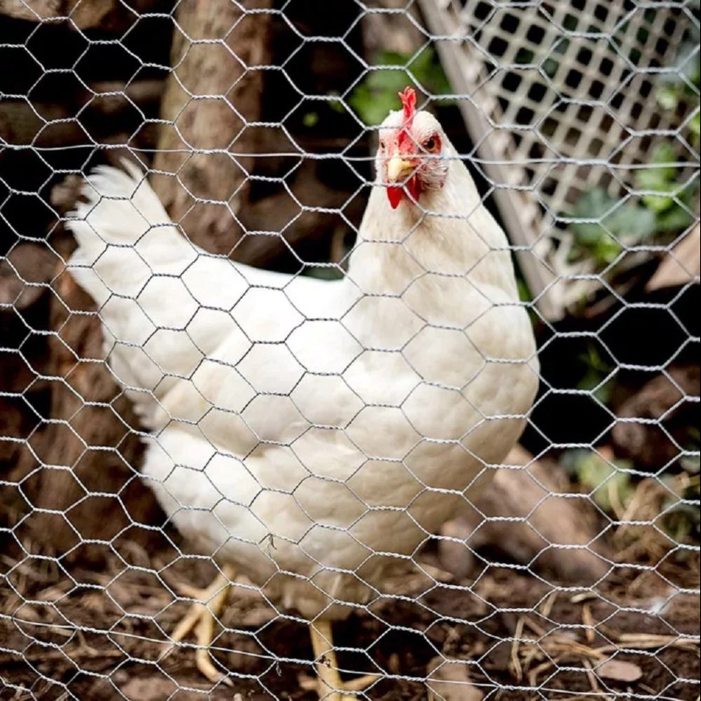 Securing Poultry and Livestock with Chicken Wire Mesh A Reliable Solution for Farmers