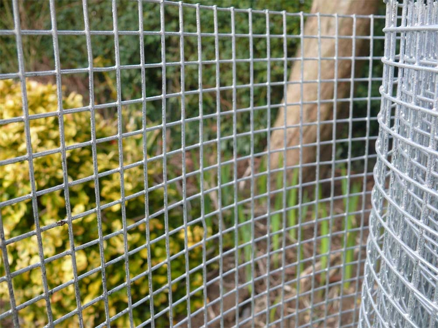 Welded wire mesh fence