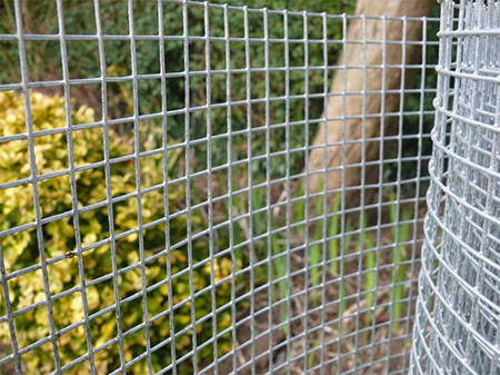 Welded wire mesh fence1.jpg