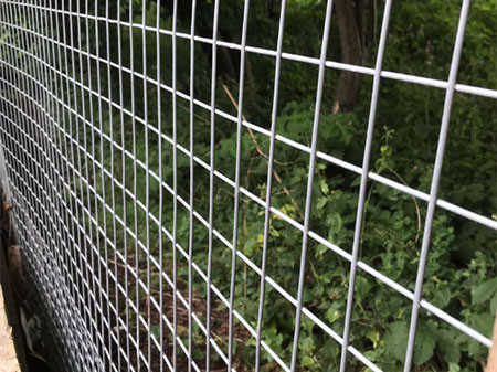 Welded wire mesh fence2.jpg