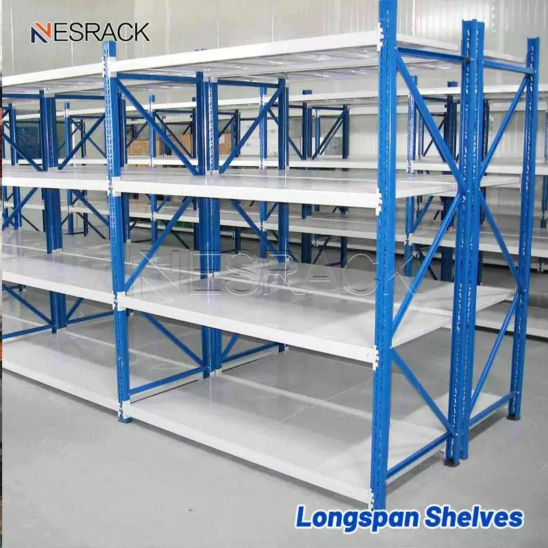 Longspan Shelving