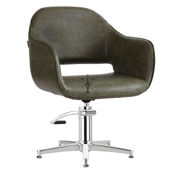 Sage Green salon chair -MD-SS0133