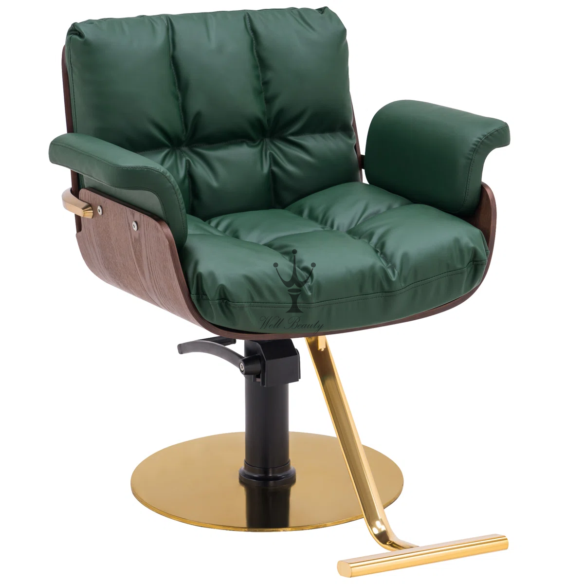 Dark Green salon chair -MD-SS0165