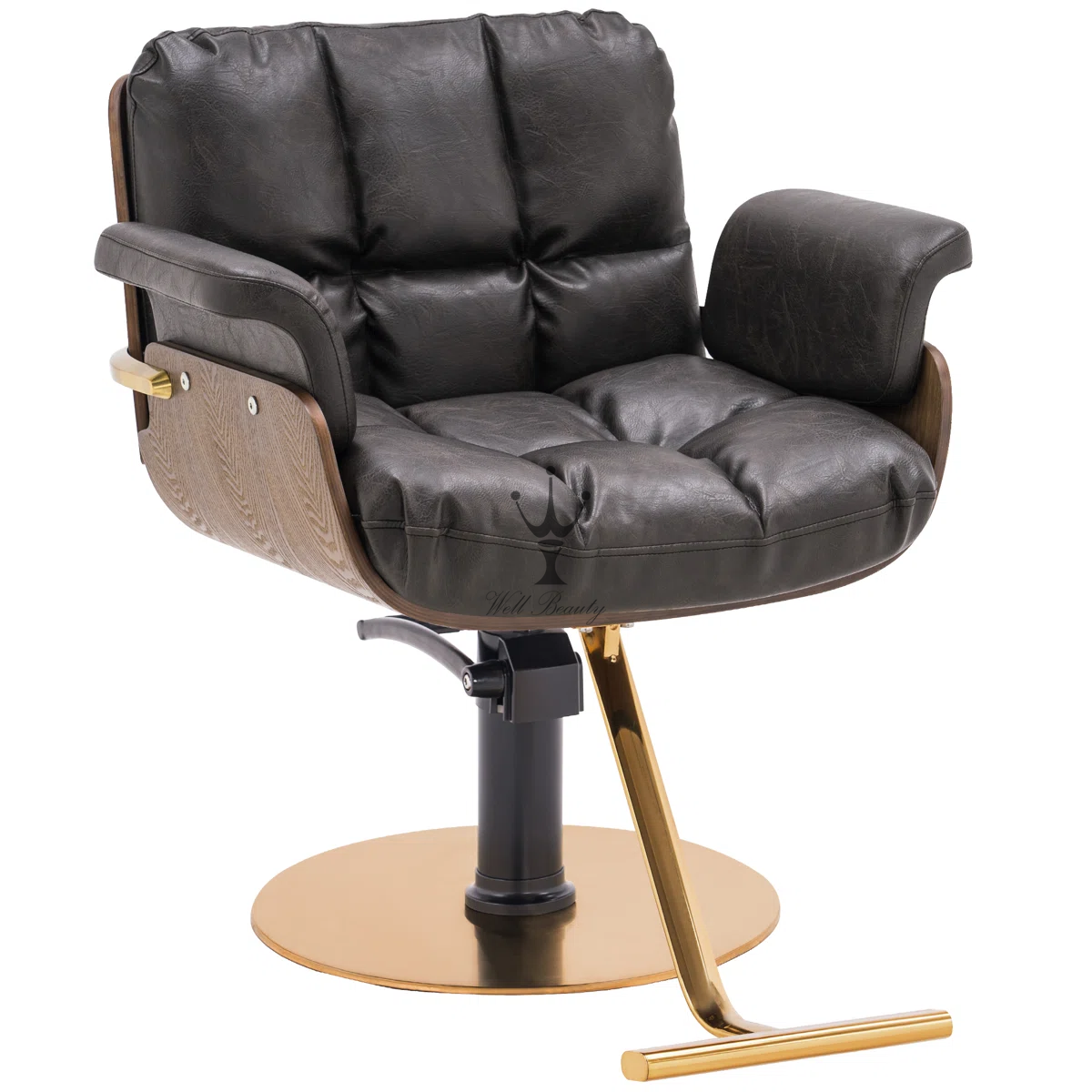 Brown Green salon chair -MD-SS0166
