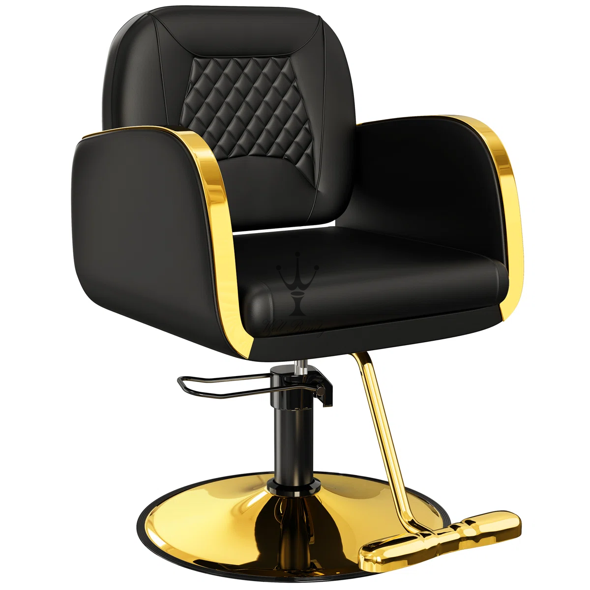 Black salon chair -MD-SS0168