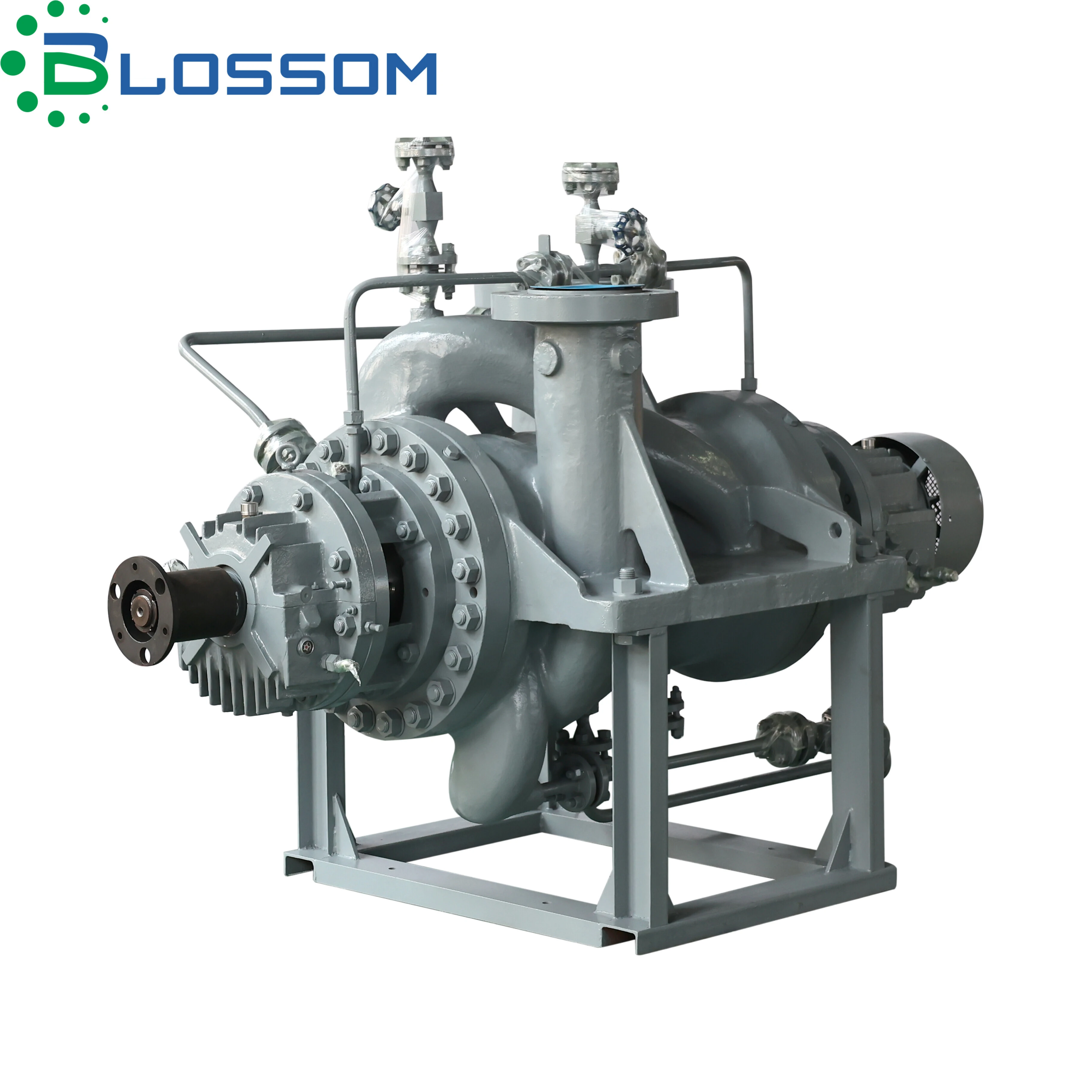 API 610 BB2 PUMP