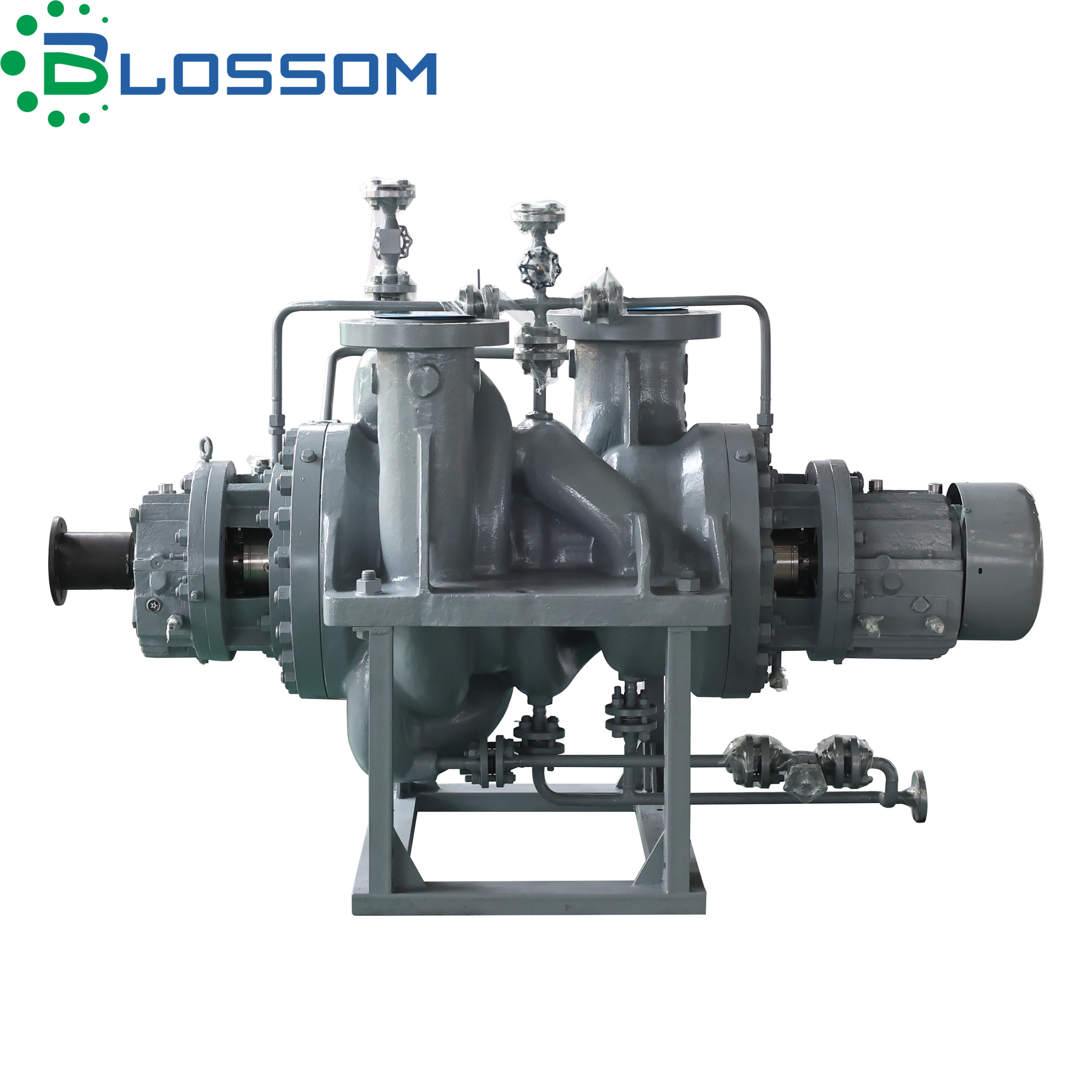 API 610 BB2 PUMP