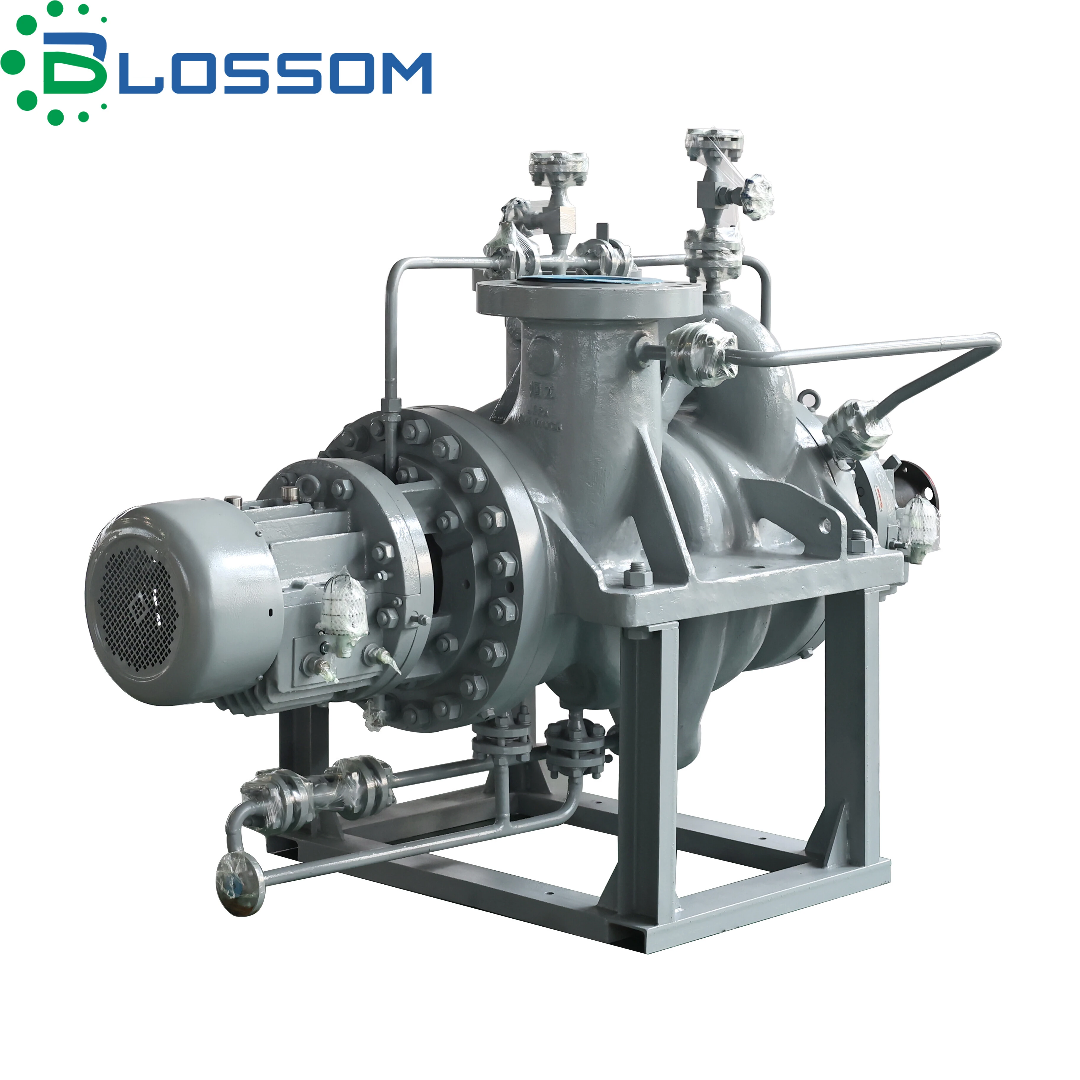 API 610 BB2 PUMP