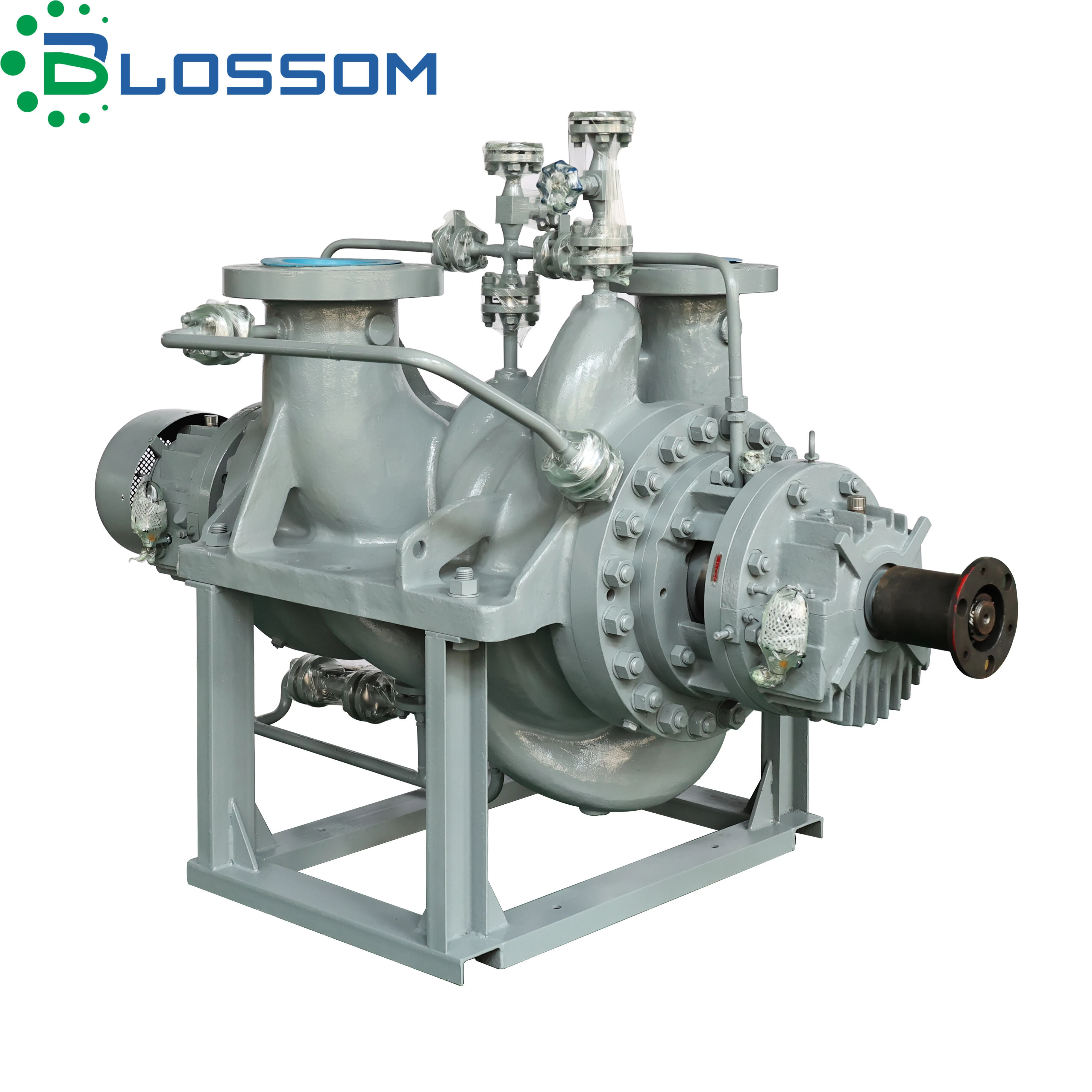 API 610 BB2 PUMP