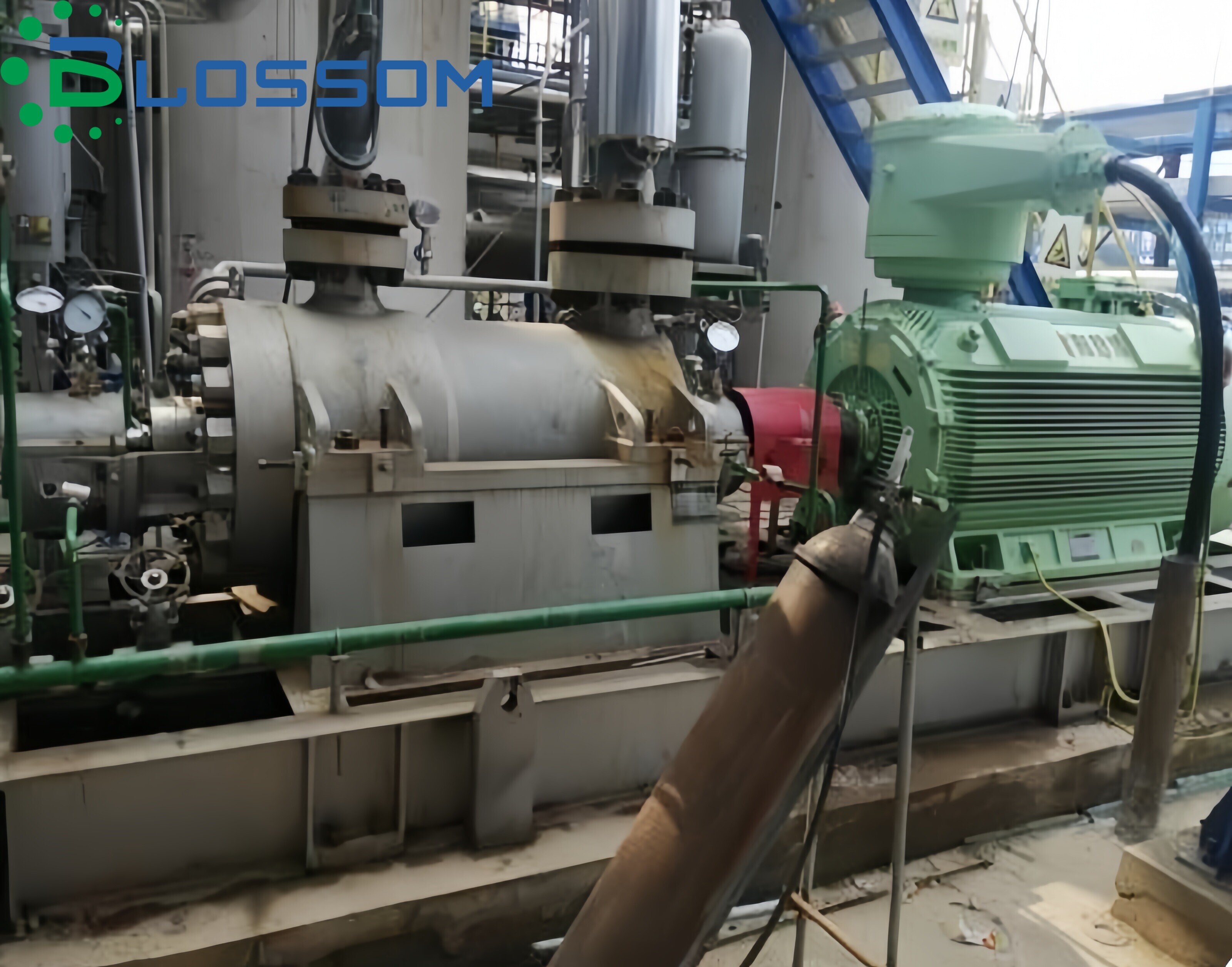 Blossom Pump Industry The Russian Project