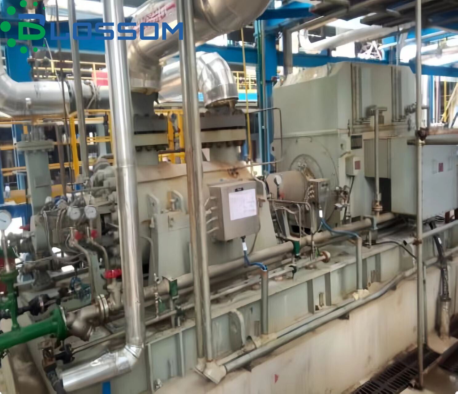 Blossom's petrochemical plant project in Algeria