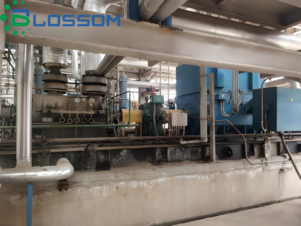 Blossom provides key equipment (hydride feed pump) for Kazakhstan's green hydrogen project to help green energy transformation