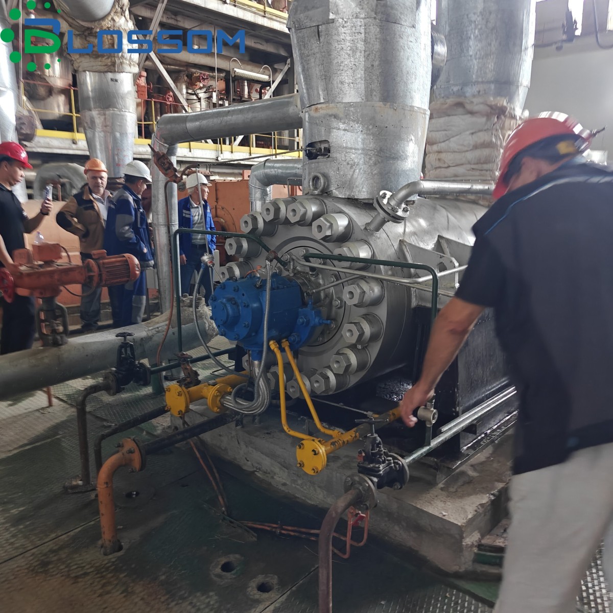 6f731ee9a3a0c3076a58c73fd0e579ee