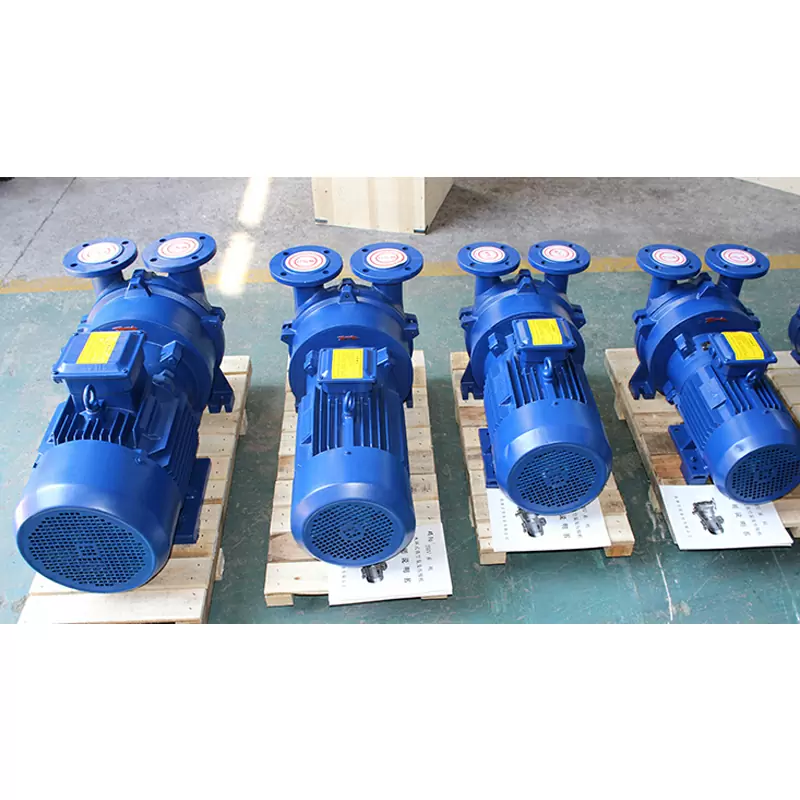2BV series liquid ring vacuum pump