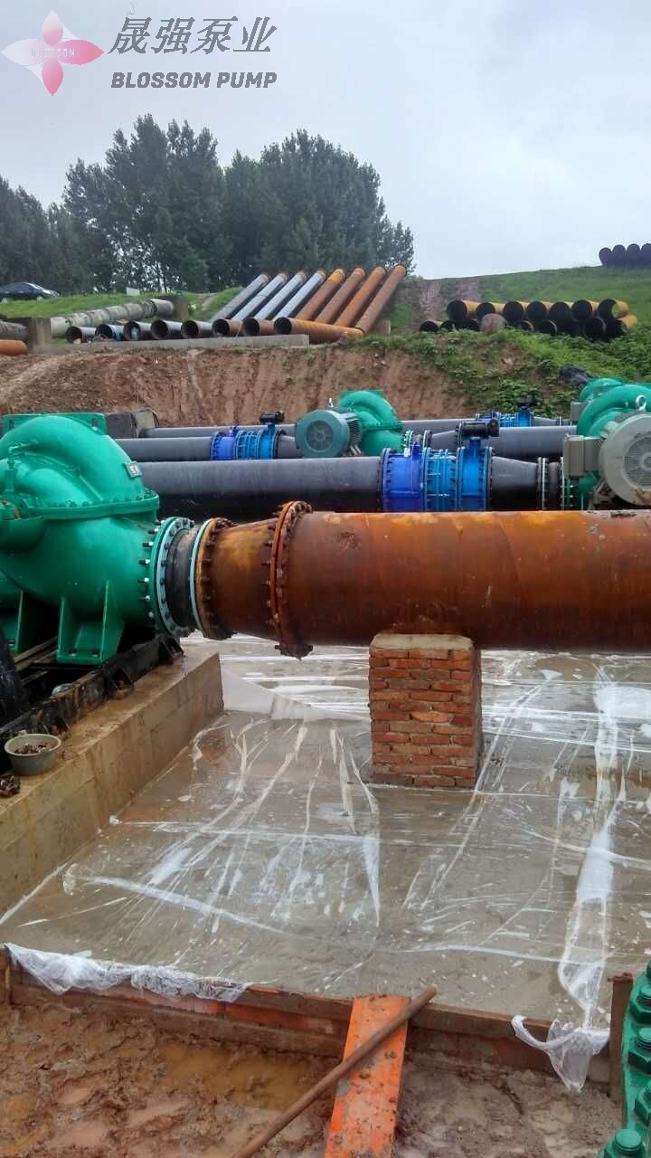 Split case pump project in Argentina  