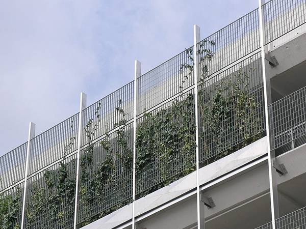 Swage locked gratings are installed on the surface of building and several plants growing on it..jpg