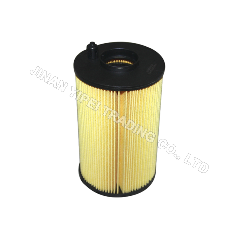 BL611600070119 Oil Filter SHACMAN