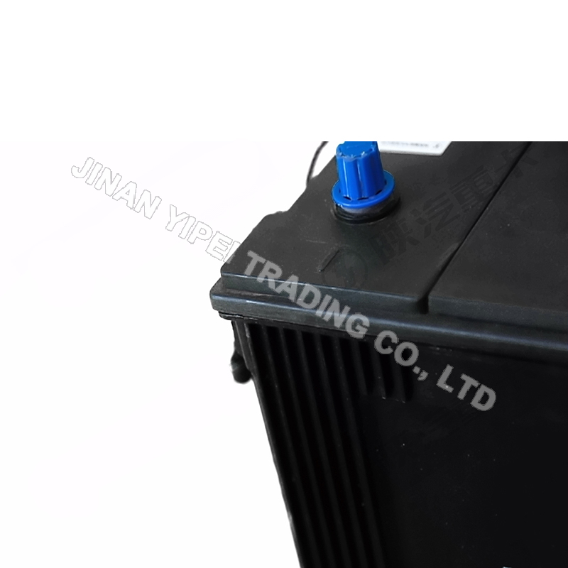 DZ97189760220 220Ah Low Temperature Maintenance-free Battery SHACMAN