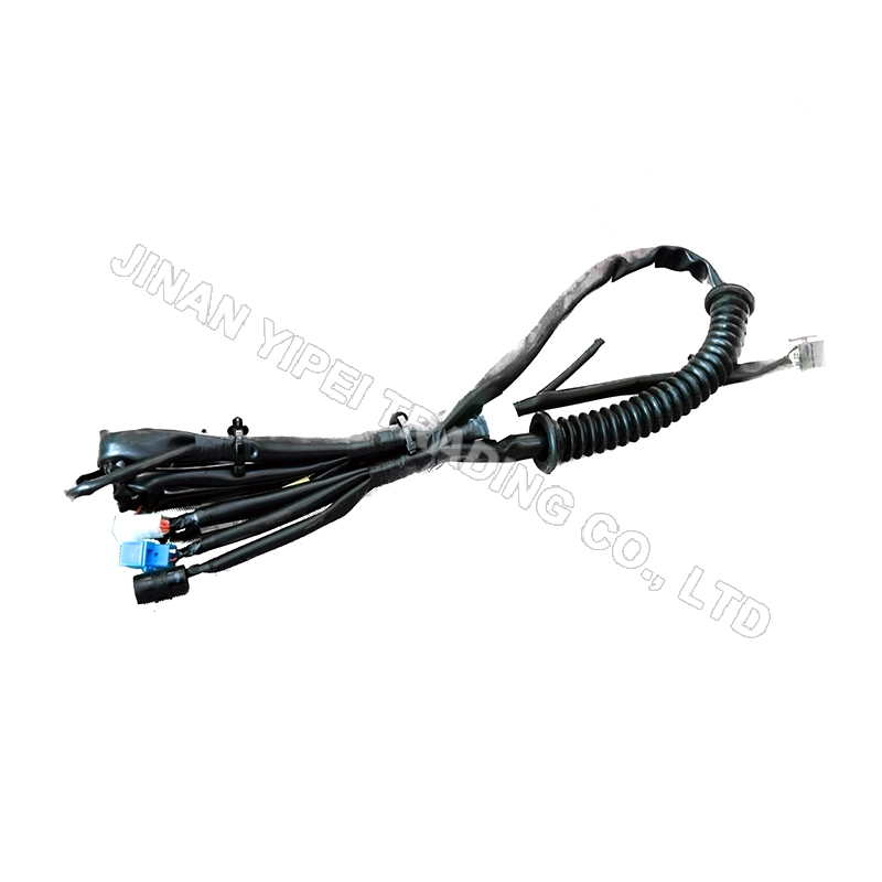 Faisceau de câblage de porte principale (Verrouillage central électrique BCM) SHACMAN DZ97189772888