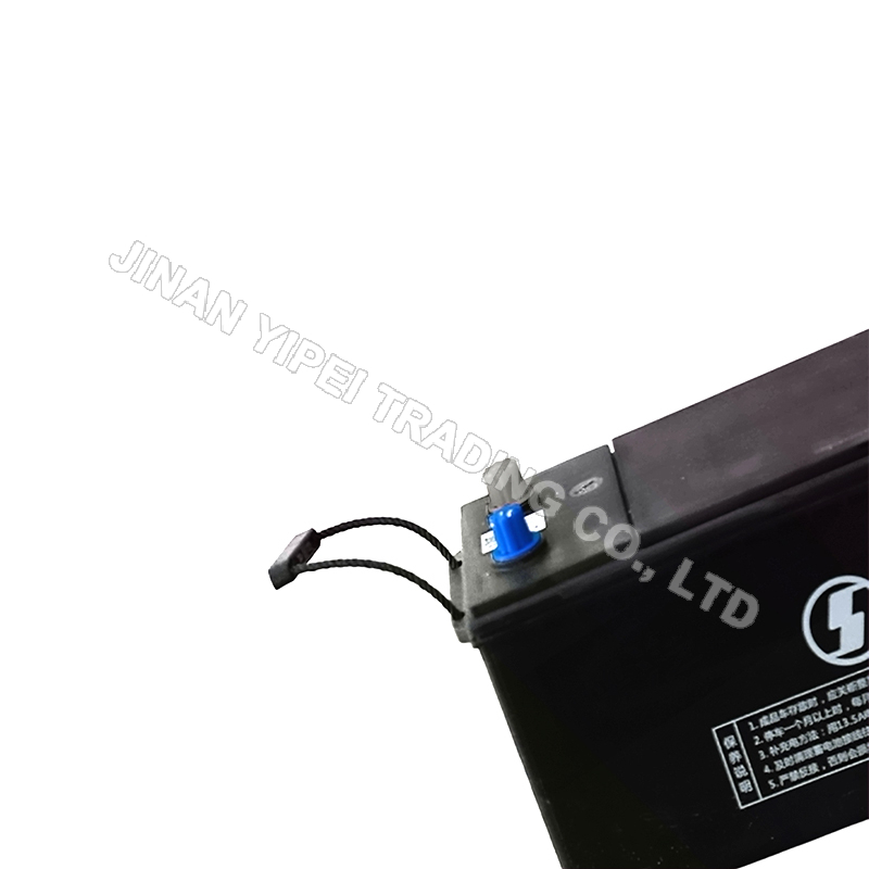 DZ95189761435 Batterie sans entretien SHACMAN